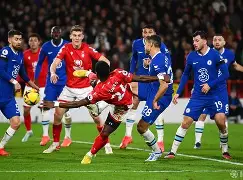 摩纳哥队主场在哪儿