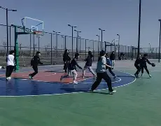 队友之间紧密配合,共同努力争夺胜利的句子