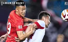 博彩网址导航-纽卡斯尔客场赢球,保持近期不败状态